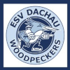Dachau Woodpeckers